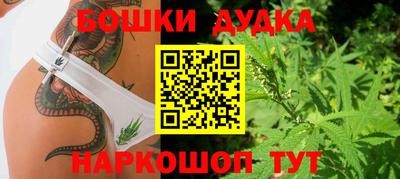 сатива Кулебаки